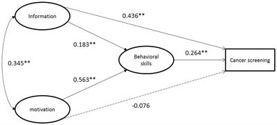 Predictors of cancer screening behavior of the working population in China based on the information-motivation-behavioral skills model